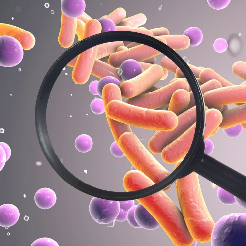 Filtr do jacuzzi MSPA – działanie  W wodzie basenowej oraz jacuzzi może znajdować się szereg zanieczyszczeń. Jest to związane z użytkowaniem, które dostarcza do wody drobinki takie jak jak: kamień występujący w wodzie, tłuszcz znajdujący się na skórze, resztki kosmetyków, drobne osady, kurz czy pyłki roślin.  Dzięki użyciu najwyższej jakości celulozy, filtr jacuzzi MSPA pozwala zapobiegać nagromadzaniu się i swobodnemu dryfowaniu różnego pochodzenia drobinek po jacuzzi.