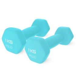 Classic öntöttvas kézi súlyzó, 2 x 1 kg